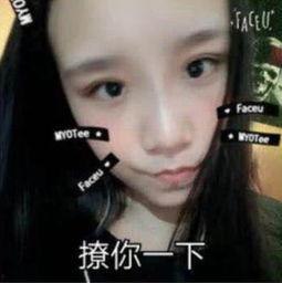 蚊香爆料女友视频大全在线观看,蚊香女友视频大全在线观看揭秘